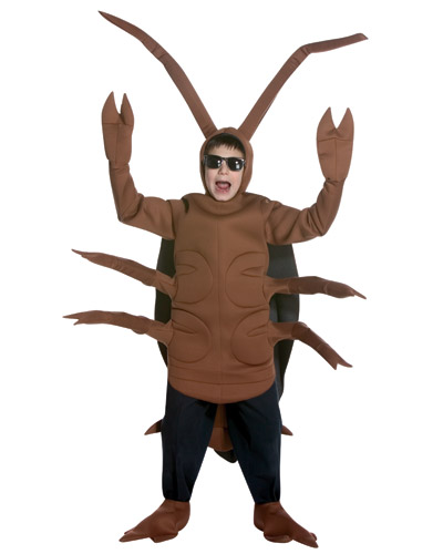 cockroach boy